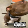 Every Dawg Has It's Day (Explicit)