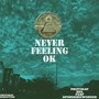 Never Feeling Ok (Radio Edit)