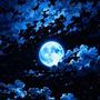 Night Sky