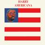 Harry Americana (Explicit)
