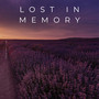 Lost in Memory