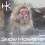 Snow Monkeys