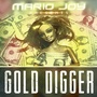 Gold Digger (Radio Edit)