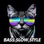 BASS SLOW STYLE