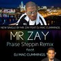 Praise Steppin (Remix) [feat. DJ Mac Cummings]