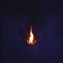 The Dark Flame