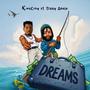 Dreams (feat. Terry Apala) [Explicit]