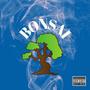 Bonsai (feat. Big Burt) [Explicit]