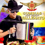 Cumbias Con Sabor Vallenato