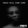 Tears Will Come Down (feat. Frank Zosky)