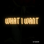 What I Want (Explicit)