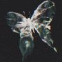 Butterfly (feat. 1600cp) [Explicit]