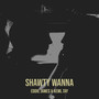 Shawty Wanna (Explicit)