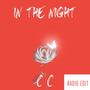 In the Night (Radio Edit)