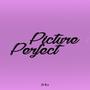 PICTURE PERFECT (Explicit)