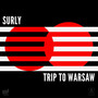 Trip to Warsaw