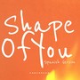 Shape of You (Spanish Version)