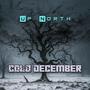 Cold December