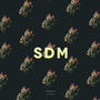 SDM