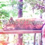 69 Web of Dreams