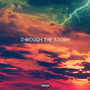 Through the Storm (Explicit)