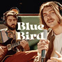 Blue Bird (Live at CNSM de Paris)