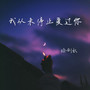 我从未停止爱过你