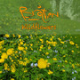 Wildflowers (Radio Edit)