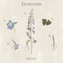 Delphinium (Explicit)