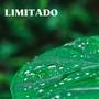 Limitado