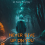 Never Give Up On You