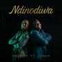 Ndinodiwa Nedenga (feat. Jonah Chivasa)