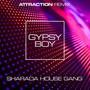 Gipsy Boy (Attraction Remix)