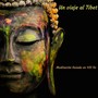 Un Viaje al Tibet (feat. Tato Schab)