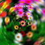 Flowers (Explicit)