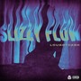 Slizzy Flow (Explicit)