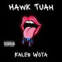 Hawk Tuah (Explicit)