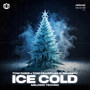 Ice Cold (feat. Madishu) (Melodic Techno)