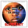 SluMMary (Slum Summary) (feat. Vonn Riley)