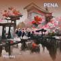 Pena (Acoustic)