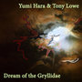 Dream of the Gryllidae