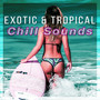 Exotic & Tropical Chill Sounds – Magnetic Moment of Life, Deep Vibes on the Beach, Relaxing Chill Out Music