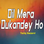 Dil Mera Dukandey Ho