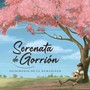 Serenata de Gorrión