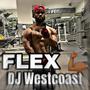 FLEX (Explicit)