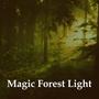 Magic Forest Light