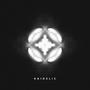 Kaidelic (Explicit)