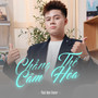 Chẳng Thể Cảm Hóa (Thái Học Cover)