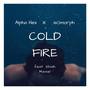 Cold Fire (feat. Shiah Maisel)