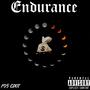 ENDURANCE (Explicit)